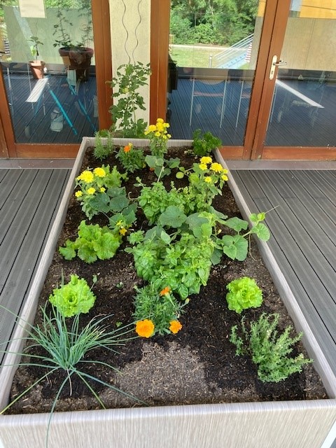 Jardin_PASA_06-22_10.jpg