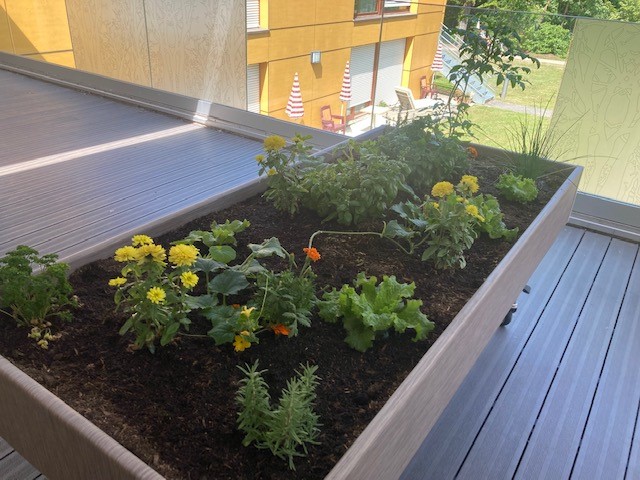 Jardin_PASA_06-22_11.jpg
