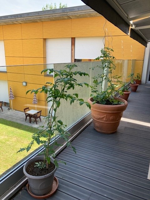 Jardin_PASA_06-22_6.jpg