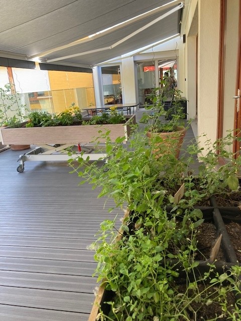 Jardin_PASA_06-22_8.jpg