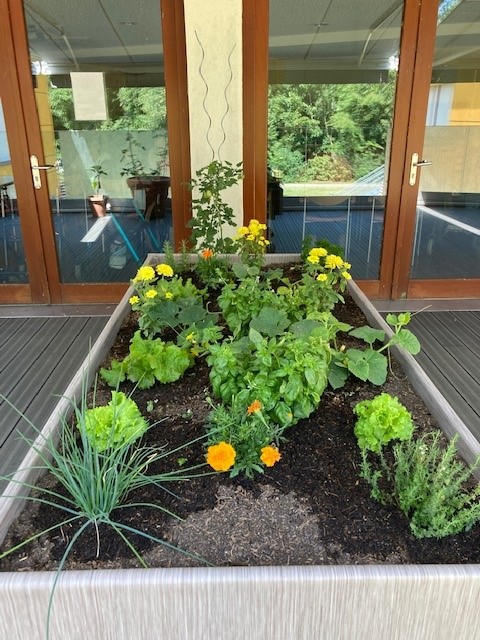 Jardin_PASA_06-22_9.jpg