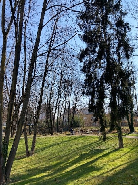 parc_4.jpg